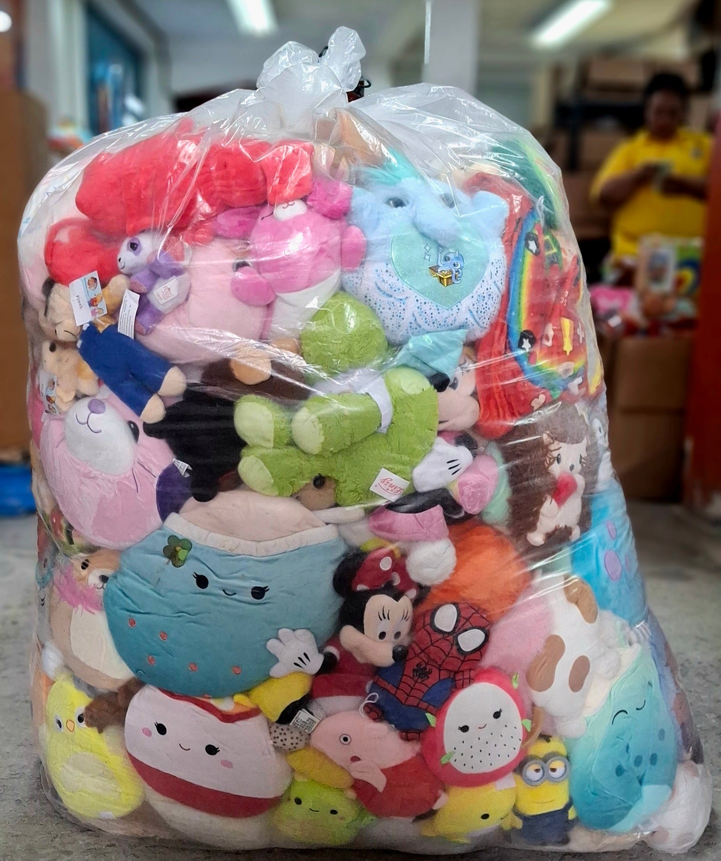 # 74 Bolsa de peluche clasificado americano  usado